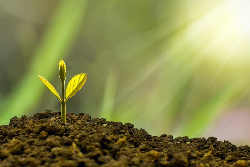 Sustainability Tips